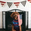 Kuoser Recovery Suit for Dogs, Independence Day 4th of July