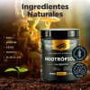 Nootrópicos BPN PRO con Melena de León y Omega 3