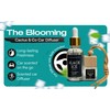 The Blooming Cactus & Co. - Car Diffuser Refill -