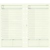 Raymay Fujii Davinci DR270 Bible Size Personal Organizer Refill, Freestyle