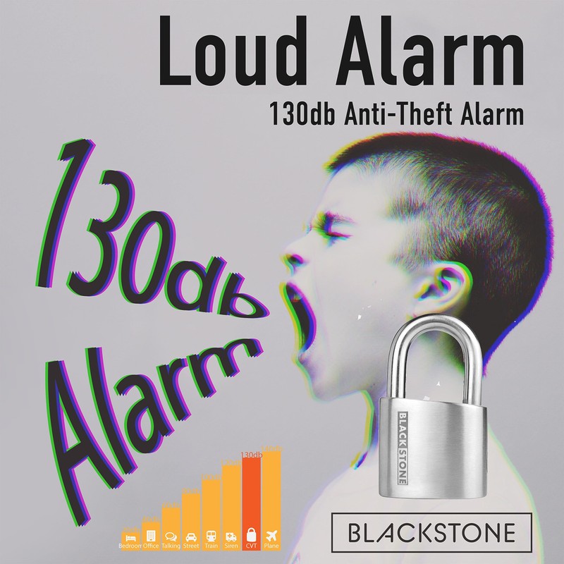 Crystal Vision Anti-Theft Loud 130db Alarm Lock Weather Proof Heavy