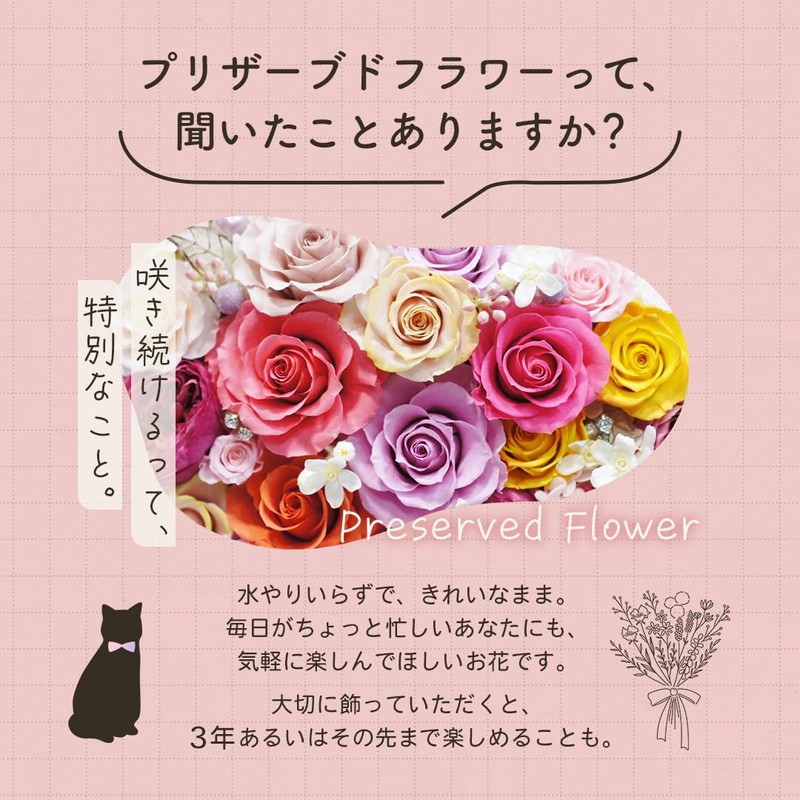 花冠seina Preserved Flower White/Black Cat Flower Gift Present Made in