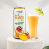 Namai Pure Mango Fruit Juice, No Added Sugar, 24-Pack