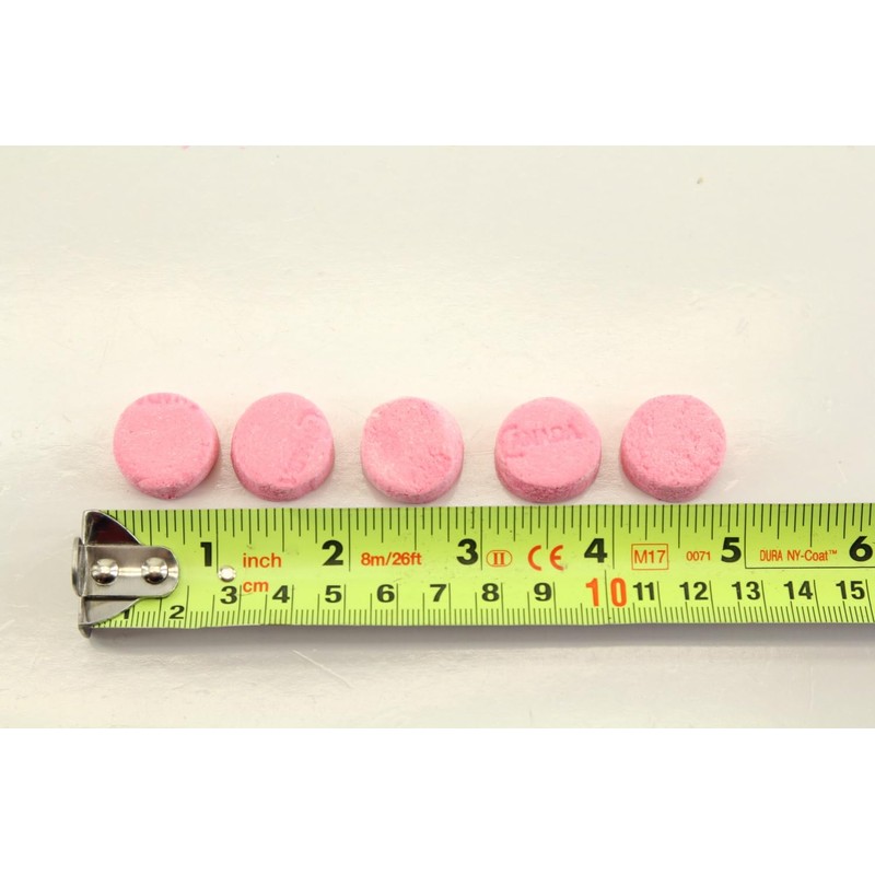 Wintergreen Pink Canada Mint Candy - 1.5 Pounds - After