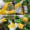 GLOSAV Cactus Gloves, Thorn Proof Gardening Gloves for Rose Pruning