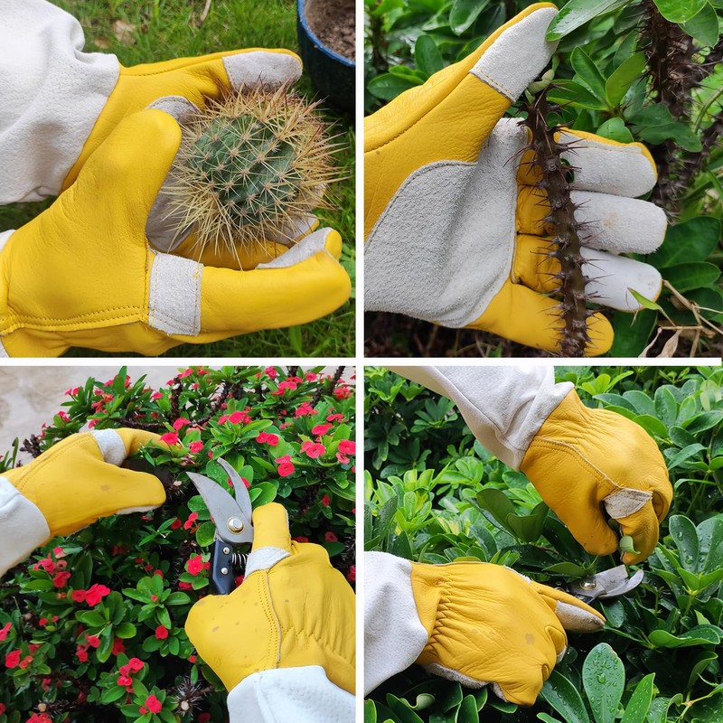 GLOSAV Cactus Gloves, Thorn Proof Gardening Gloves for Rose Pruning
