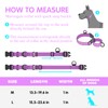 Bpawser Martingale Collar for Training Dogs 1 Count Adjustable Reflective