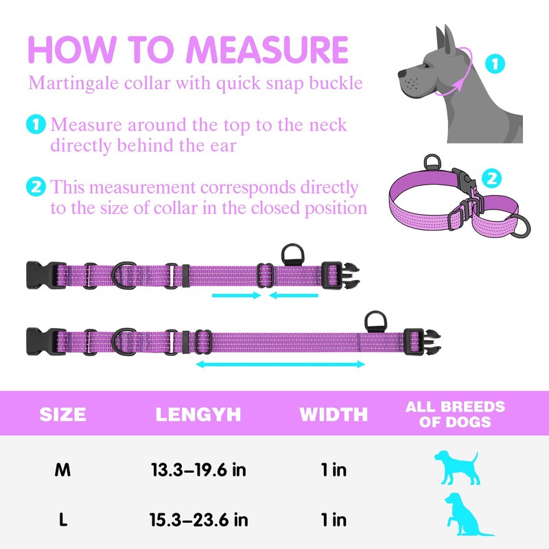 Bpawser Martingale Collar for Training Dogs 1 Count Adjustable Reflective