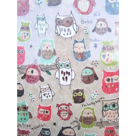 Funny Sticker World Bubo the Bird of Night (Owl) Sticker Sheet~KAWAII!!