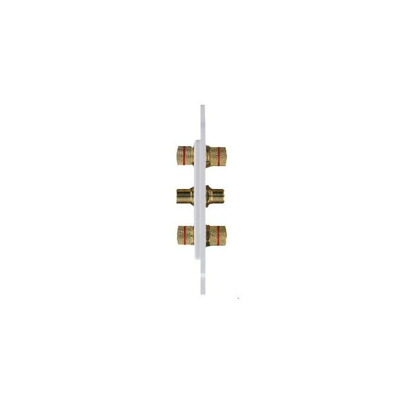 AV Wall Plate HDMI & 7.1 Speaker Cable Wall Plate