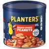 PLANTERS Redskin Spanish Peanuts, Roasted Salted Peanuts, Plant Based Protein