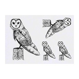 4 x 'Barn Owl' Temporary Tattoos - Water Resistant, Skin-Safe, Non-Toxic Transfers, Mixed Sizes (TO00003905)