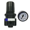 REG0250M Air Compressor Regulator and Air Pressure Gauge fit for