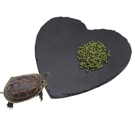 Reptile Basking Platform – 20 × 20 cm Heart-Shaped Natural Rock Feeding Dish | Tortoise Rock Plate, Turtle Bowl, Habitat Decor for Bearded Dragons, Chameleons, Frogs, Lizards & Geckos