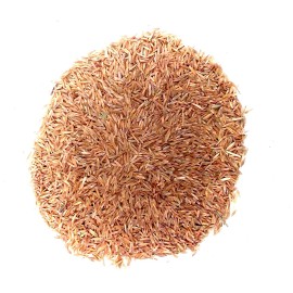 Country Boy Seed Inc. Grass Seed Professional Grade Fescue Lawn & Turf 5 lbs. Covers 1000 sq. ft.