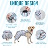 Arblina Dog Recovery Suit for Rear Leg, Adjustable Recovery Sleeve