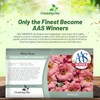 Outsidepride Sundial Peach Portulaca Moss Rose Seeds - 250 Pcs