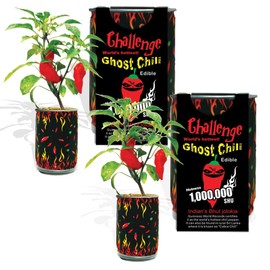 Red Ghost Chili Pepper Grow Kit by Magic Plant – Ignite Your Garden with Fiery Flavor | Convenient DIY All-in-One Kit | Superhot 1 Million+ SHUs | Gift Idea for Indoor or in Garden (2 Kits)
