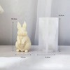 3D Rabbit Candle Silicone Molds Easter Bunny Resin Casting Mould