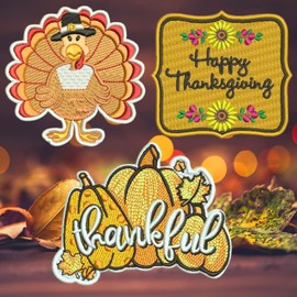 3 Thanksgiving Embroidered Applique Patches, Fall Pumpkin Iron On Patches, Sew On Applique Patches for Backpacks, Clothes, Jackets, Hat Clothing