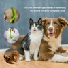 Tick Remover Tool - Safe & Easy Tick Remover for