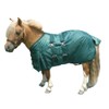 Intrepid International Miniature Horse Turnout Blanket, Waterproof Mini Horse Blanket