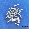 TERF® 13mm X 3mm Galvanised ELH Clout Nails 13mm (1/2'')