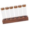 Coffee Bean Storage Tubes with Walnut Wood Stand Lid Glass