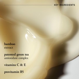 philosophy philosophy purity made simple oil free moisturizer