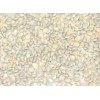 Deer Whole Red Lentil Masoor Beans with Skin 4 lb