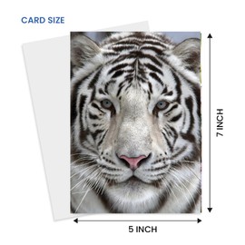 Stunning White Tiger with blue eyes Greeting Card, Larger Size 5x7 inch - Blank Inside - for All Occasions - Unique wildlife Photography for Big Cat, Nature & Animal Lovers - for birthdays, friendship, thank you notes, love, anniversaries, encouragement