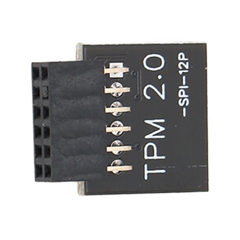 TPM2.0 Encryption Security Module for GIGABYTE Mainboard SPI 12Pin Security