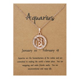 Zodiac Sign Necklace for Women 12 Constellation Pendant Necklace Horoscope Zodiac Necklace for Teen Girls Birthday Gift (H: aquarius necklace gold)