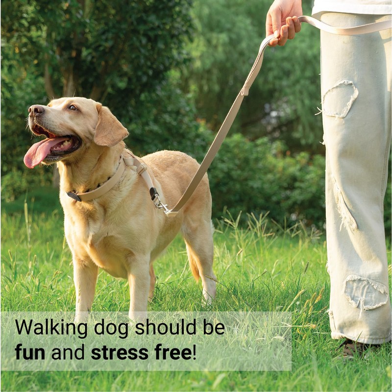 SVD.PET Dog Prong Collar for No-Pull Training, Quick-Release Buckle Adjustable