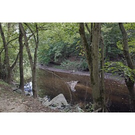 Historic Pictoric Washington, D.C. Photo - Rock Creek Park, NW, Washington, D.C. - 36in x 24in