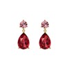 Ted Baker London Teaire Crystal Teardrop Earrings for Women (Gold/Pink