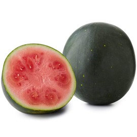 Moon & Stars Watermelon Seeds for Planting, 20+ Heirloom Seeds Per Packet, (Isla's Garden Seeds), Non GMO Seeds, Botanical Name: Citrullus lanatus cv, Great Home Garden Gift