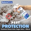 Ant Repellent Spray for Indoor Use, Ant Deterrent with Long-Lasting