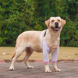 Harikaji Dog Elbow Protector, Elbow Sleeves with Mesh Pad for Medium Large Dogs Prevent Licking Wound(Pink Flower,L)
