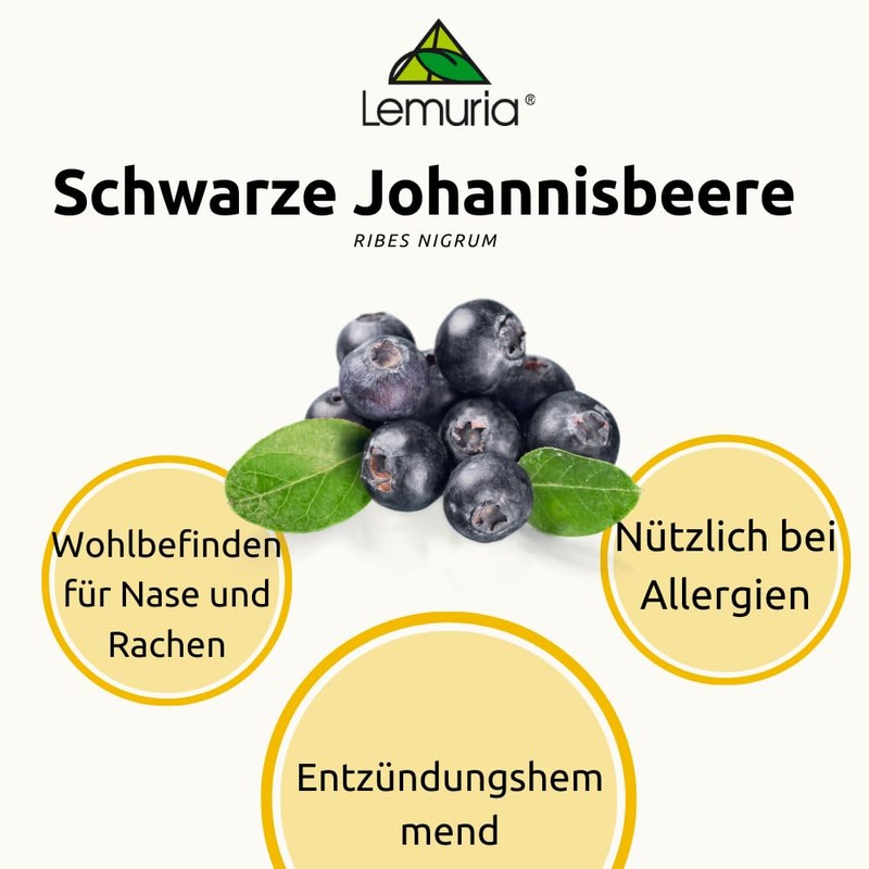 Ribes Nero Estr 100ml