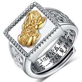 Feng Shui Ring Sterling Silver Pixiu Ring Anillo Pixiu Original for Men Women (Size 8)