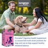 Nutramax Proviable Probiotics for Dogs and Cats, Daily Digestive Health