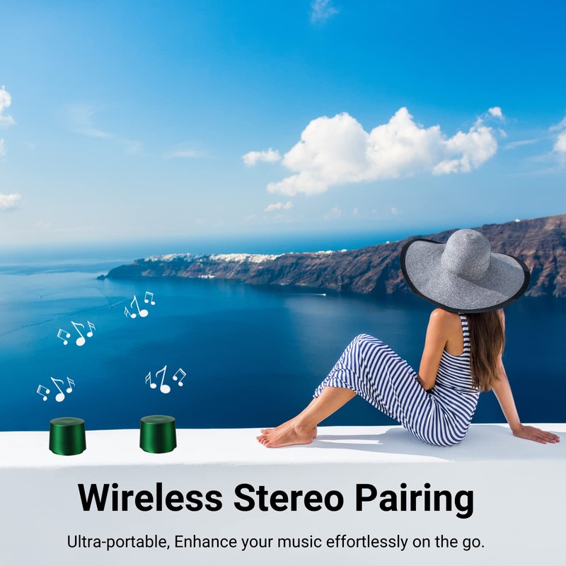 HOAIYO TWS Portable Wireless Speaker with Built in Mic and