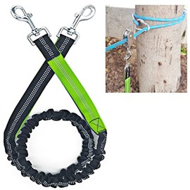 ZENGSUSU Bungee Dog Leash Extension Attachment 4ft with Double Swivel Clips， Reflective Shock Absorbing Lead for Bicycle, Running, Camping (Green, 4ft (Contracted) - 5.5 ft (Stretched))