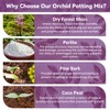 Riare 4QT Orchid Potting Mix for Repotting- Orchid Repotting Kit