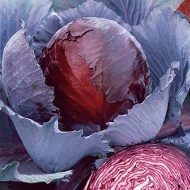 Park Seed Red Express Purple Red Cabbage Seeds, Compact Habit Can Be Spaced Closer Than Other Varieties, Pack of 125 Seeds