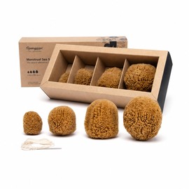 Menstrual Sponges "Natural" Pack of 4 with Needle and Thread Approx. 4-9 cm Large & Cut to Size Menstrual Sponges - Ecological Reusable Alternative to Sanitary Pads and Tampons ARISTOS