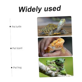 2 Pcs Water Feeder Reptile Water Dish Auto Feeder Automatic Water Bowl Reptile Water Bowl Tortoise Water Dish Reptile Waterer Pet Supplies Reptile Water Feeder Pet Water Feeder Set