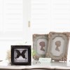TOYANDONA Real Framed Butterfly Taxidermys Butterfly, Vintage Butterfly Specimen Display