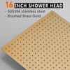 Rainfall Shower Head in Gold, BSTIIU Extra Large 16 Inch